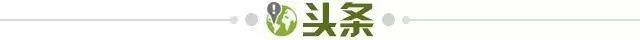 开云体育官网-【早报】宠黑粉！内马尔退出本期国家队